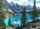 探秘无创胎儿DNA检测，科技呵护新生命的未来