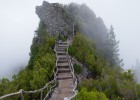 孕妇早期可以进行DNA检测吗？了解刚怀孕时的DNA检测
